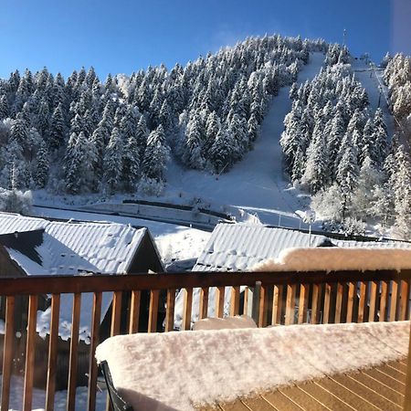 Appartement Aux Pieds Des Pistes De Ski Laveissière Eksteriør bilde