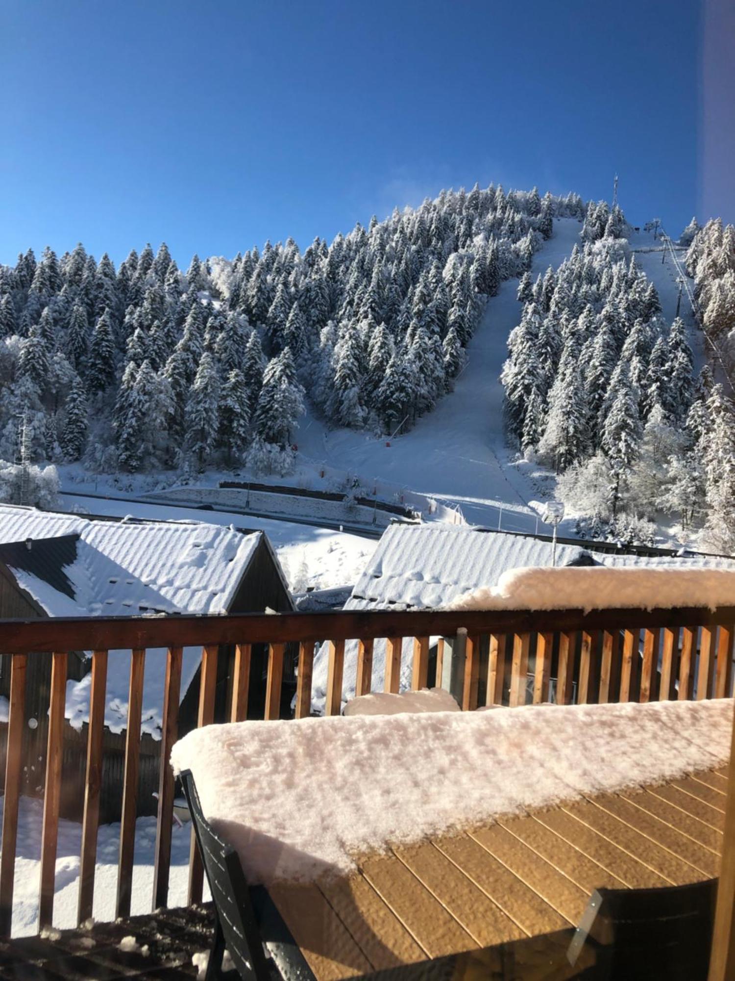 Appartement Aux Pieds Des Pistes De Ski Laveissière Eksteriør bilde