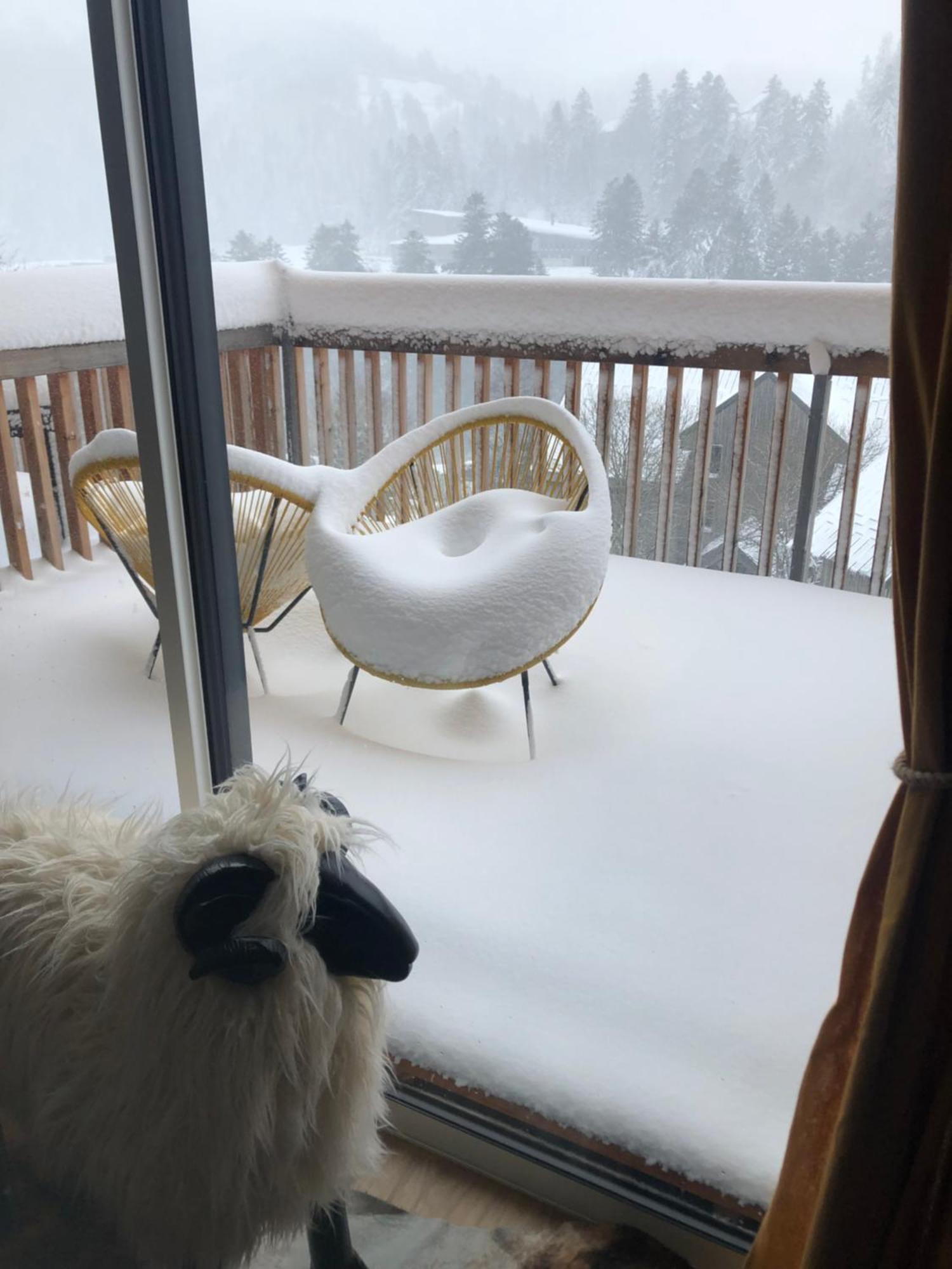 Appartement Aux Pieds Des Pistes De Ski Laveissière Eksteriør bilde